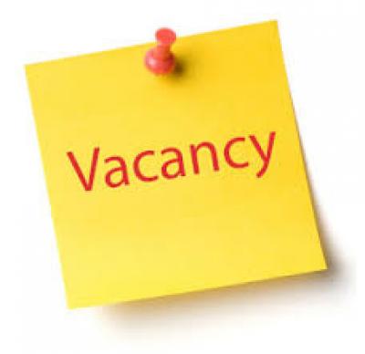 Vacancy for Councillor in Princetown